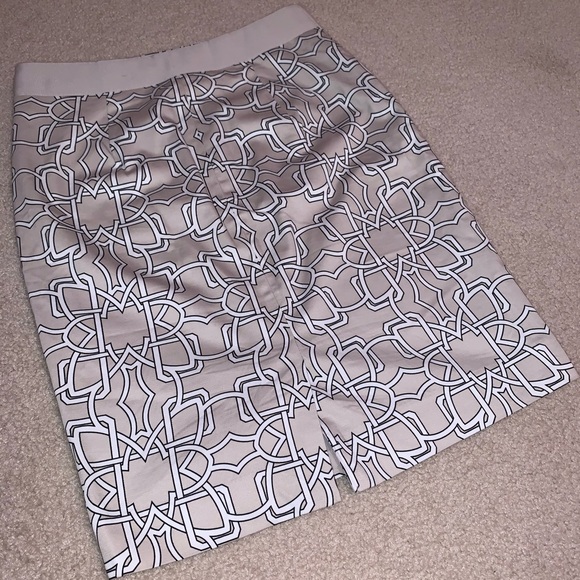 The Limited Skirt - Picture 4 of 5